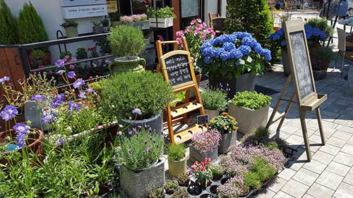 blumenladen-local-marketing